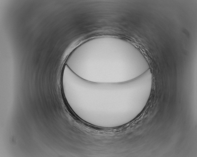 X0000111510004200908041232