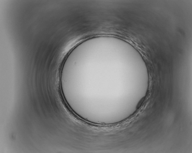 X0000111510005200908041232