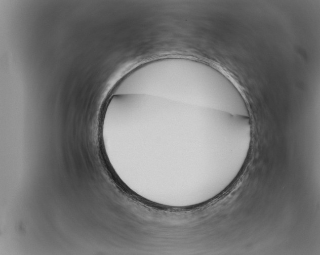X0000111510008200908041232