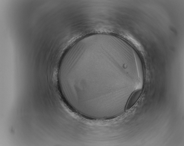 X0000111510009200908041232