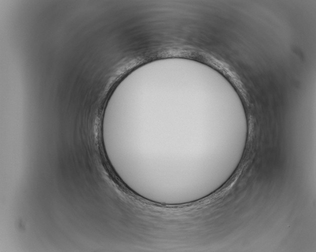 X0000111510010200908041232
