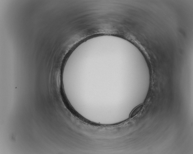 X0000111510011200908041232