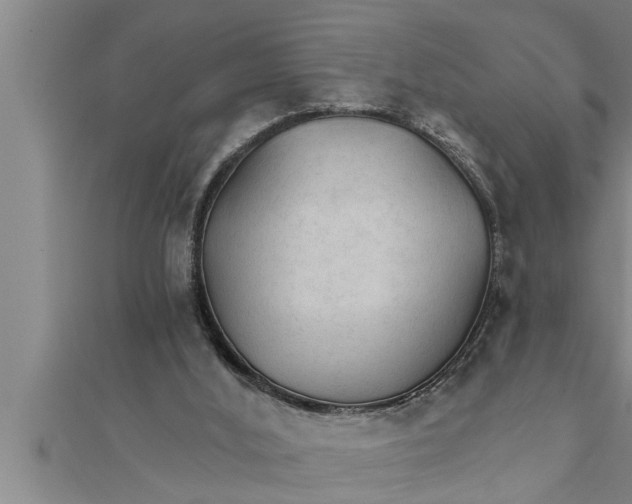 X0000111510012200908041232