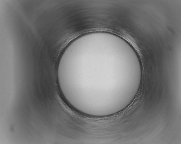 X0000111510013200908041232