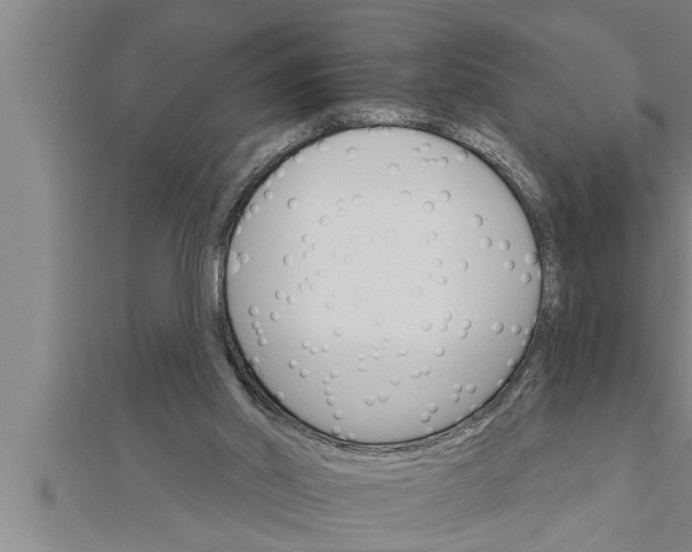 X0000111510014200908041232