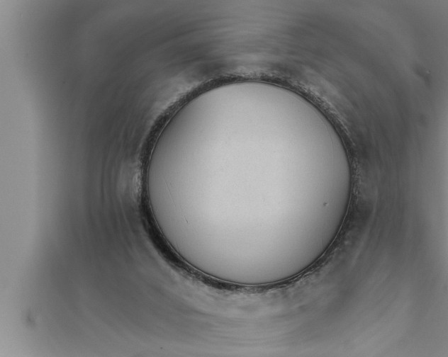 X0000111510016200908041232