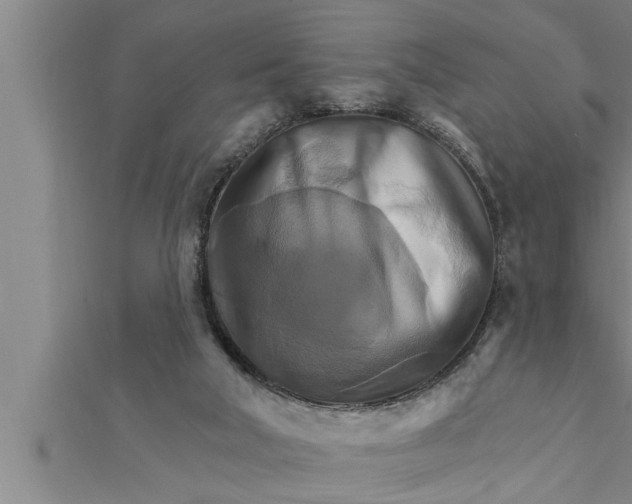 X0000111510018200908041232