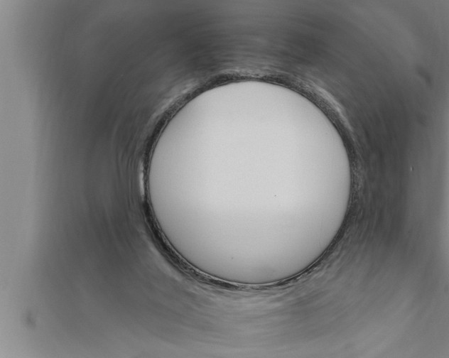 X0000111510020200908041232