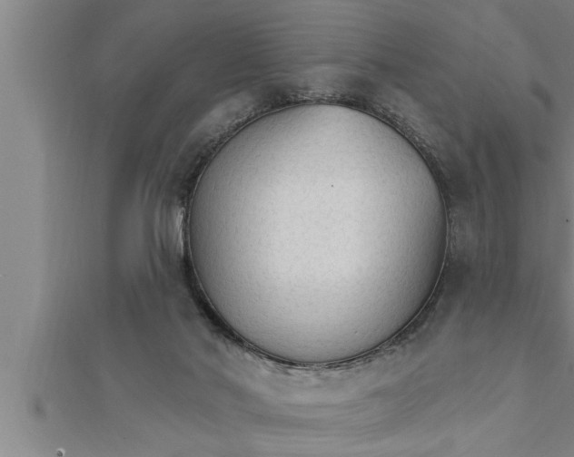 X0000111510022200908041232