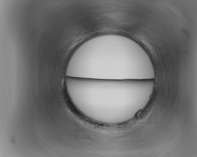 X0000111510024200908041232