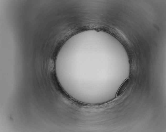 X0000111510025200908041232