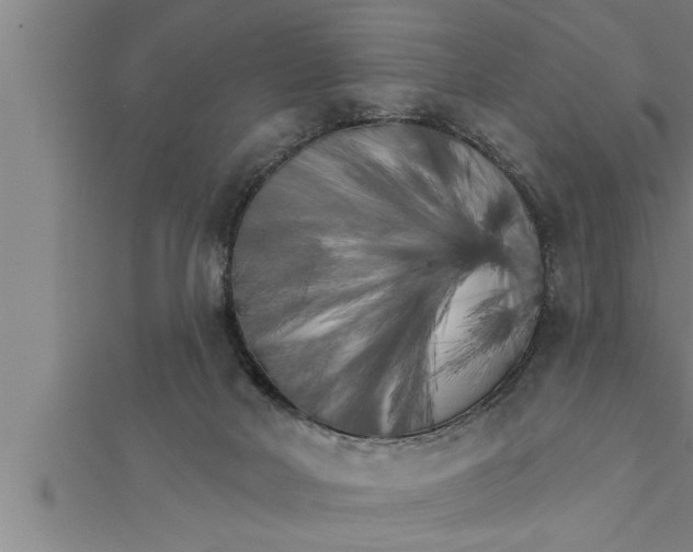 X0000111510026200908041232