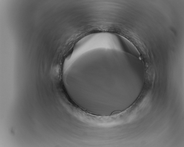 X0000111510031200908041232