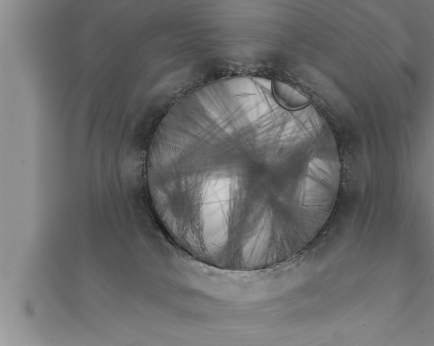X0000111510034200908041232