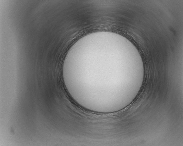 X0000111510036200908041232