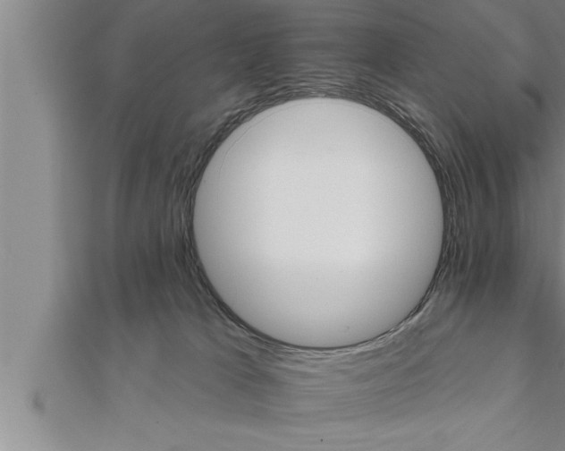 X0000111510037200908041232