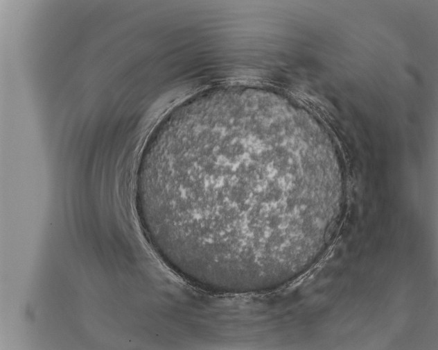 X0000111510049200908041231