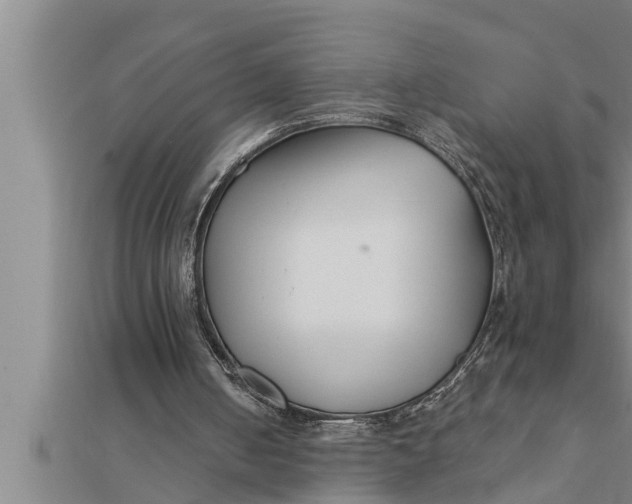 X0000111510050200908041231