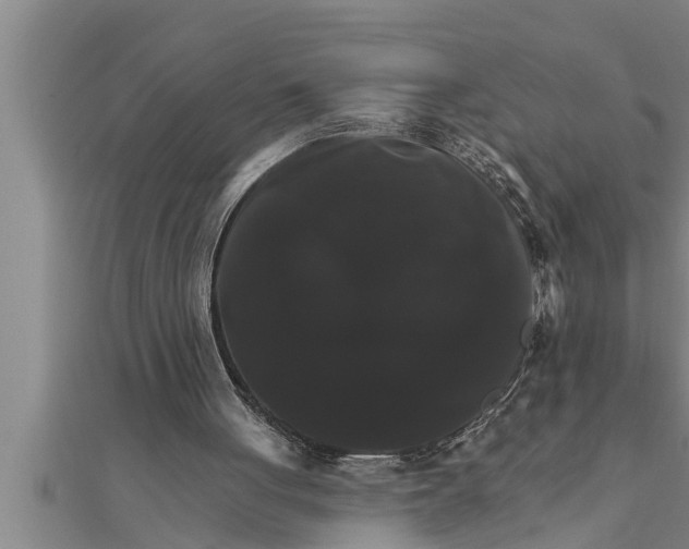 X0000111510051200908041231