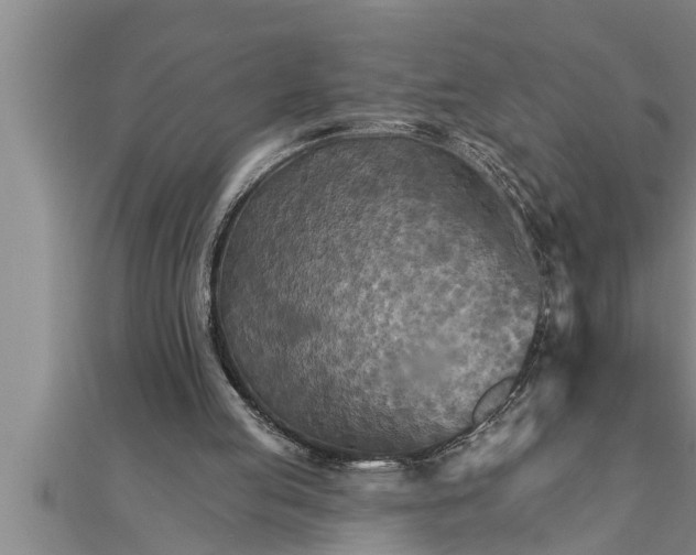 X0000111510053200908041231