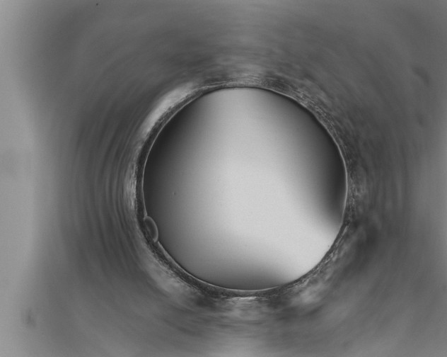 X0000111510054200908041231