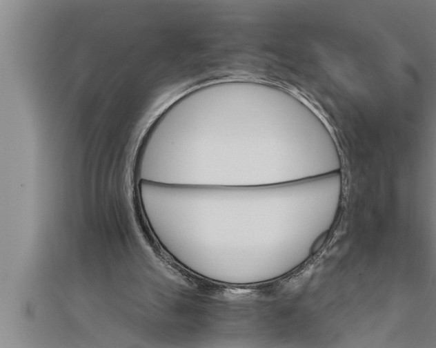 X0000111510055200908041231
