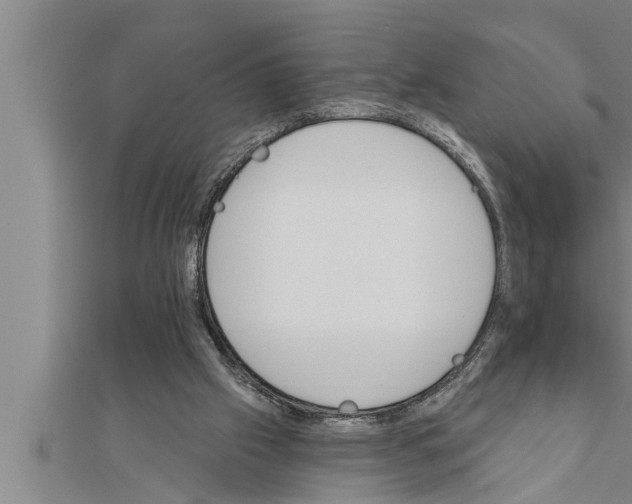 X0000111510057200908041231