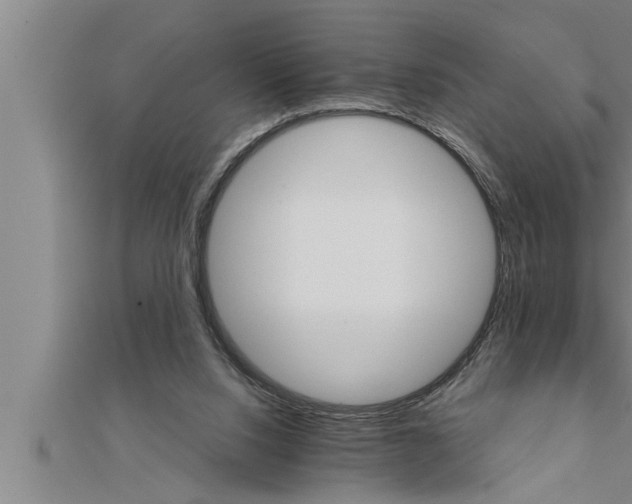 X0000111510064200908041231