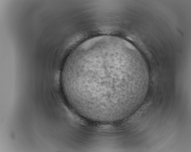 X0000111510066200908041231