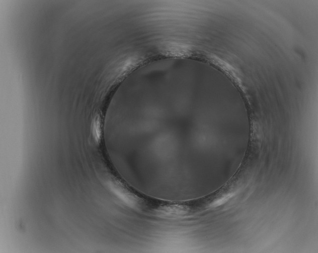 X0000111510069200908041231