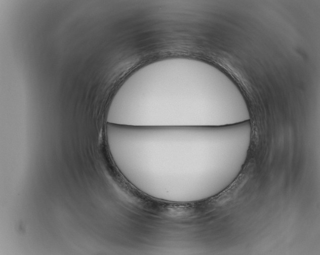 X0000111510070200908041231