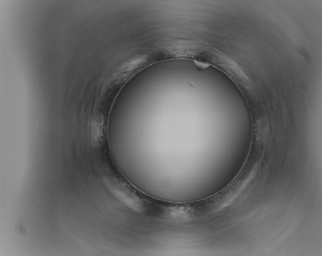 X0000111510073200908041231