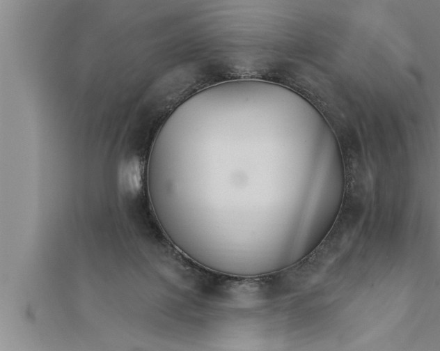 X0000111510075200908041231