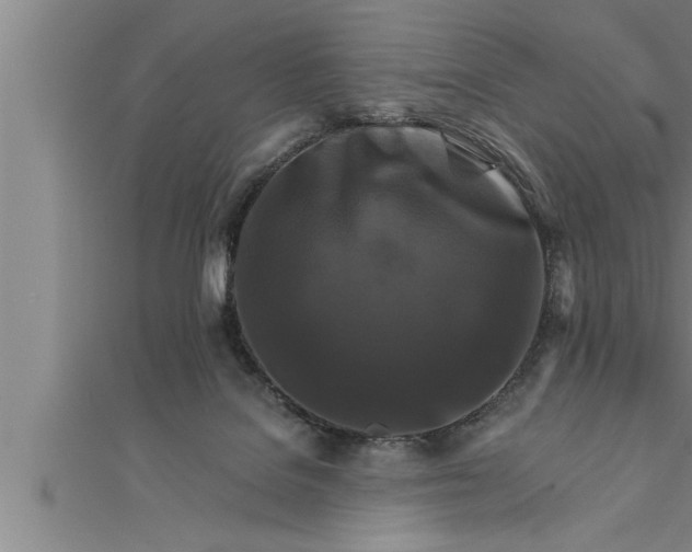 X0000111510076200908041231