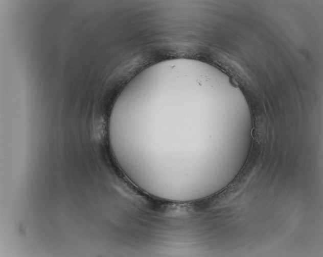 X0000111510077200908041231