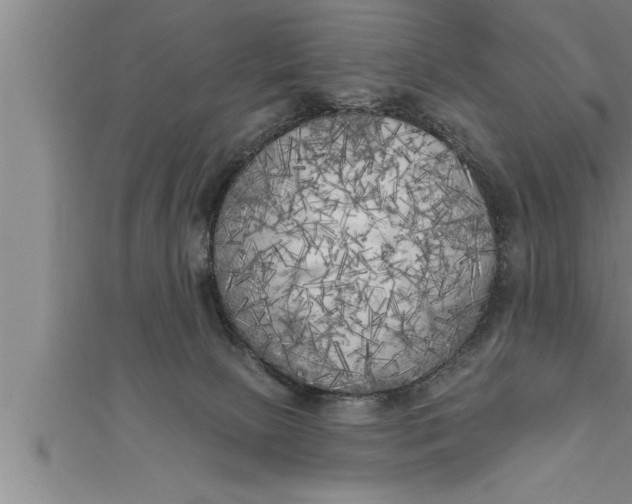 X0000111510081200908041231