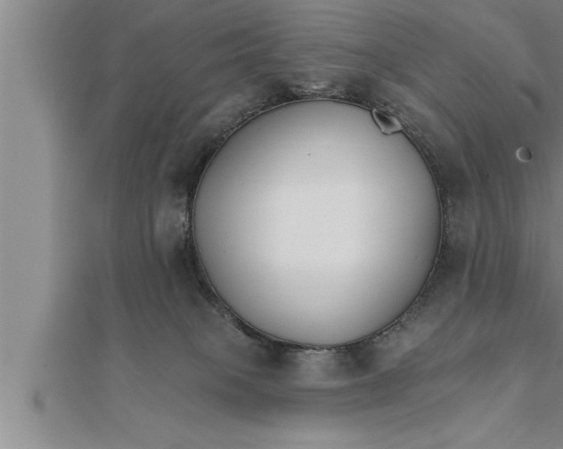 X0000111510085200908041232