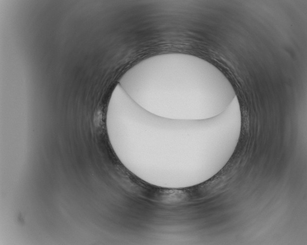 X0000111510087200908041232