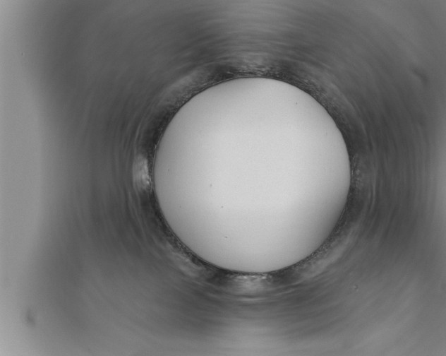 X0000111510089200908041232