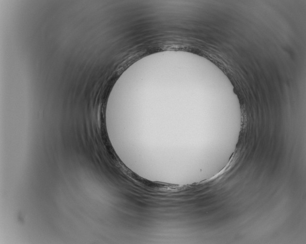 X0000111510094200908041232