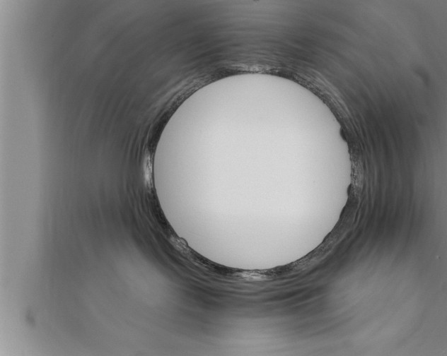 X0000111510095200908041232