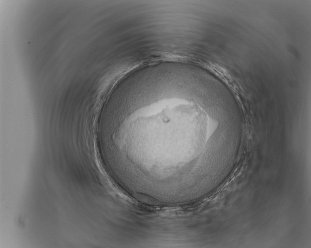 X0000111510097200908041231