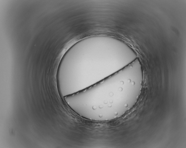 X0000111510099200908041231