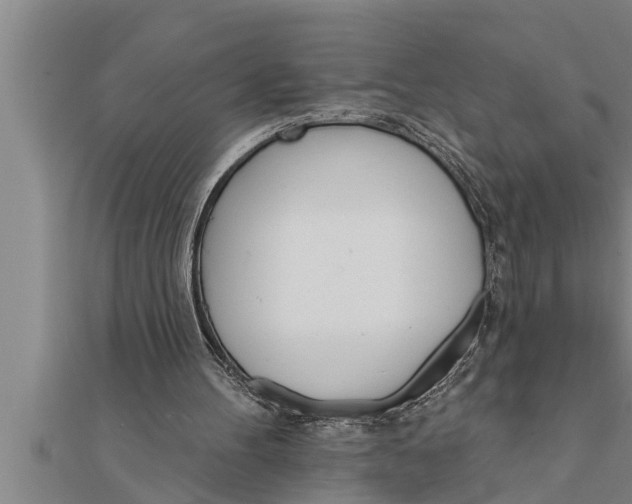 X0000111510100200908041231