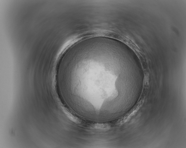X0000111510101200908041231