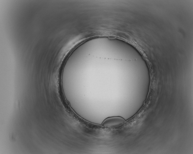 X0000111510103200908041231