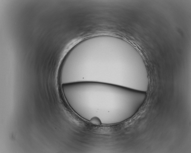 X0000111510104200908041231