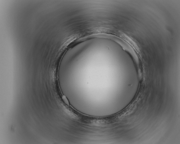 X0000111510105200908041231