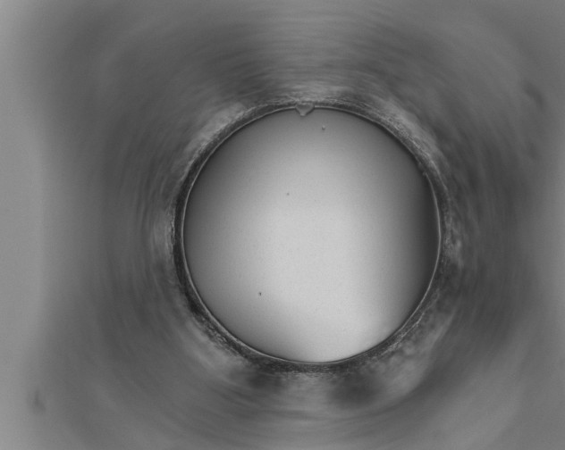 X0000111510107200908041231
