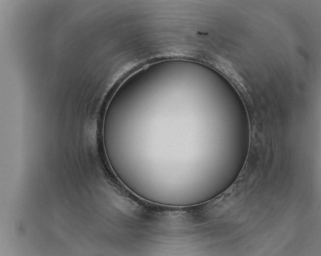 X0000111510108200908041231